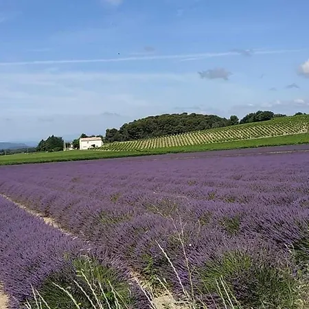 D'hôtes Chaleureuse En Drôme Provençale Valréas