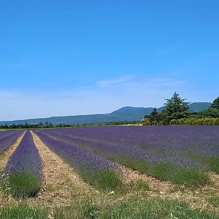 D'hotes Chaleureuse En Drome Provencale Valréas